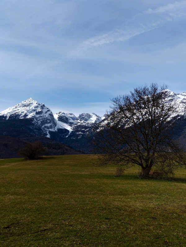 Der Tag – Blogschau – Südtirol