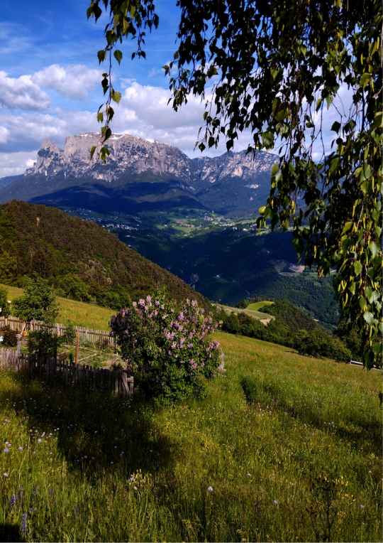 Der Tag – Blogschau – Südtirol